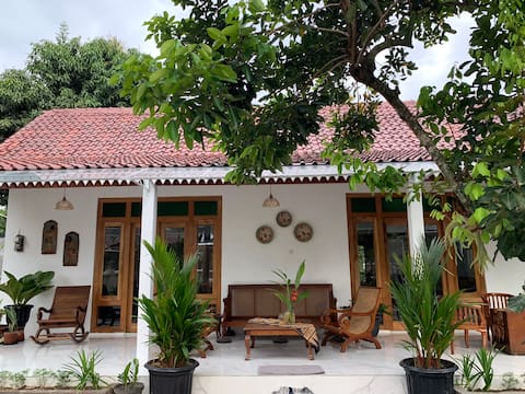 A charming 3 BR Javanese home for up to 6 persons.