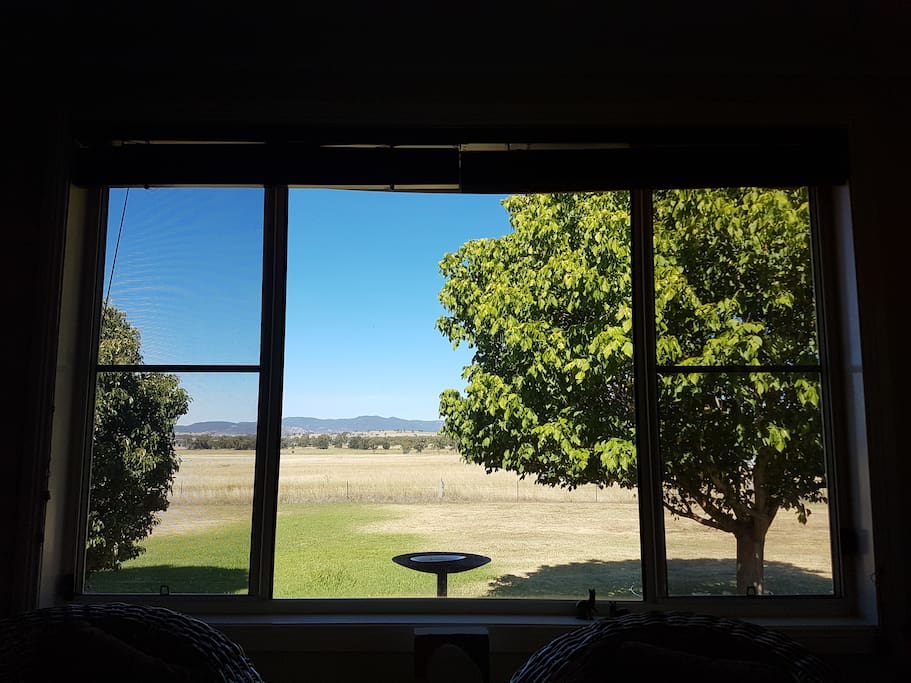 View from the kitchen, dining and family room of the birds feeding and the gorgeous golden paddocks in the distance