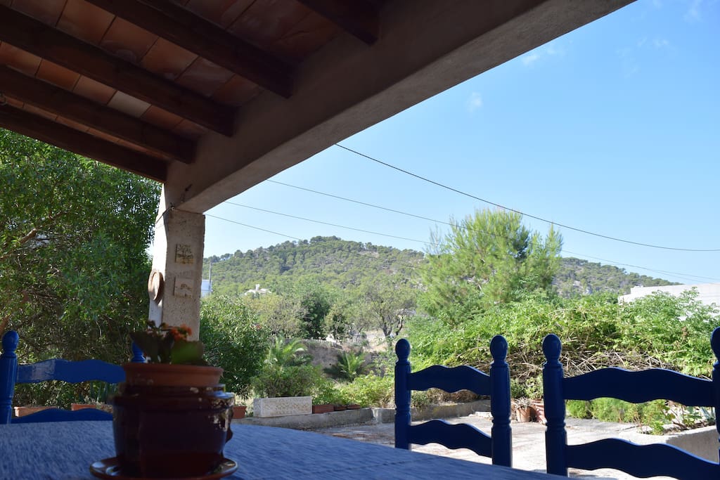 Terraza