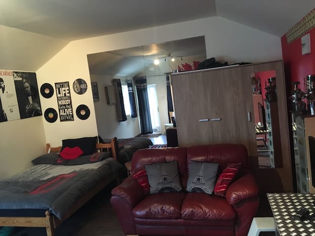Cosy Central Studio Apartment Flats For Rent In Cork