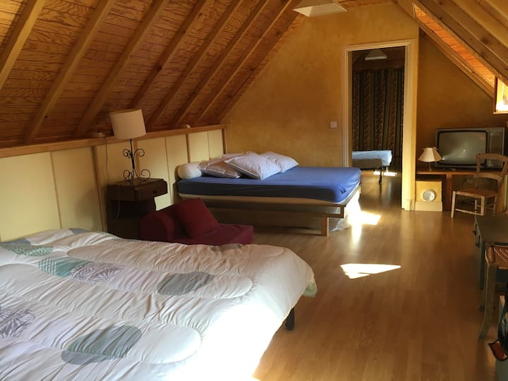 宿舍有两张大床