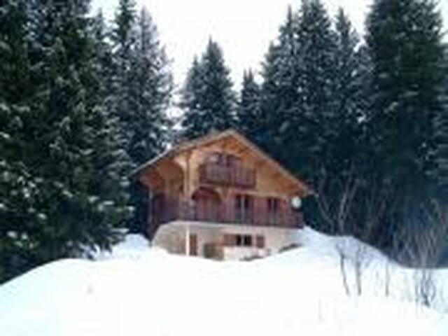 location chalet praz de lys