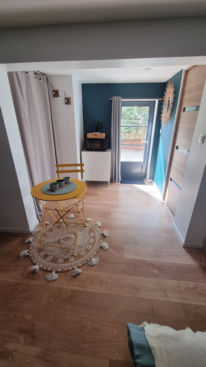 Le Petit Félin : Ravissant Studio Au Calme - Saint-Cyr-sur-Loire