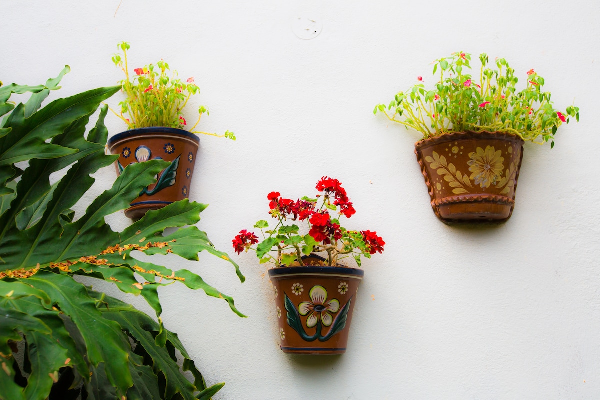 Three handcrafted clay pots are mounted on a white wall, each containing vibrant plants. Two pots feature greenery with small flowers, while the third pot showcases bright red geraniums. A lush green leaf from a nearby plant adds a touch of nature to the composition.