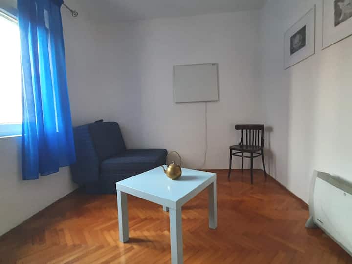 Chumba kilicho na Sofa/kinafunguka kwa kitanda kimoja