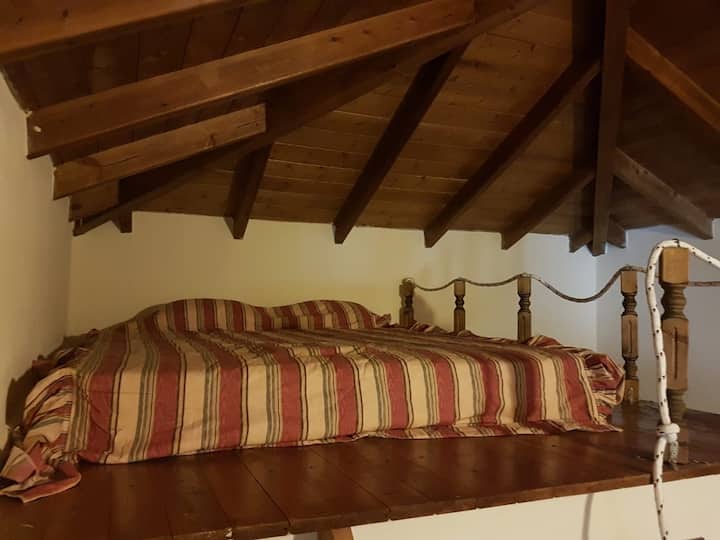 配备加大双人床解剖床垫的卧室-加大双人床 