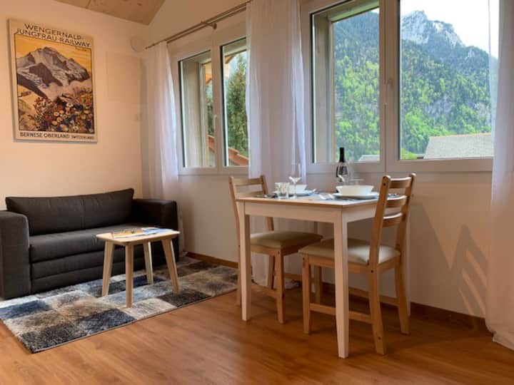 Apartment with View to Nature, in the mittle of the Jungfrauregion, perfect destination to all the Mountains, 