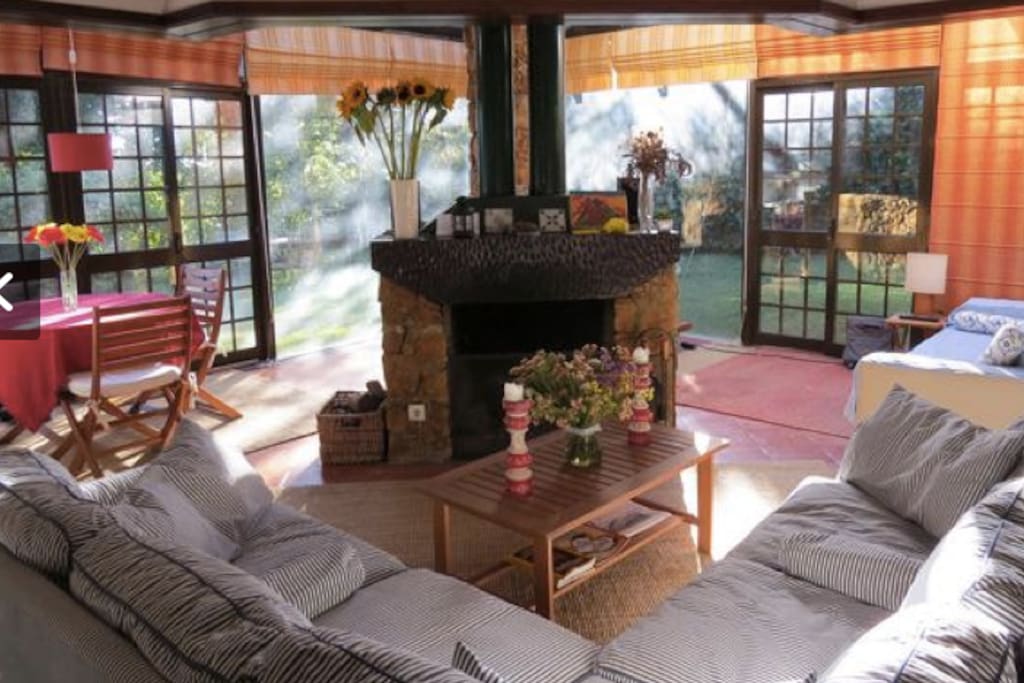 Living room, looking into garden