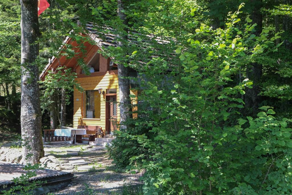 Geschützt unter grossen tannen und Bäumen liegt das idyllische Cabin