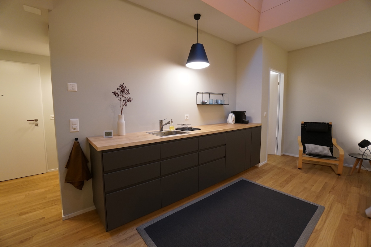 A modern kitchenette is displayed with a sleek countertop and minimalist cabinetry. Essential appliances, including a microwave and coffee maker, are neatly arranged. A small vase with dried flowers adds a subtle decorative touch, while warm wood flooring complements the contemporary design.