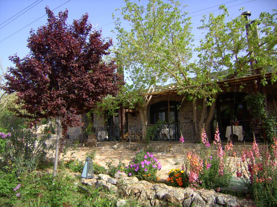 The Centaurs guest-house