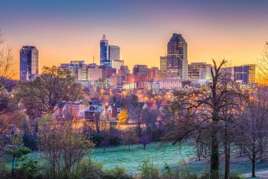 Artist's rendering of the Downtown Raleigh skyline from Dorothea Dix Park which is only a couple miles from the airbnb. Great place to walk!