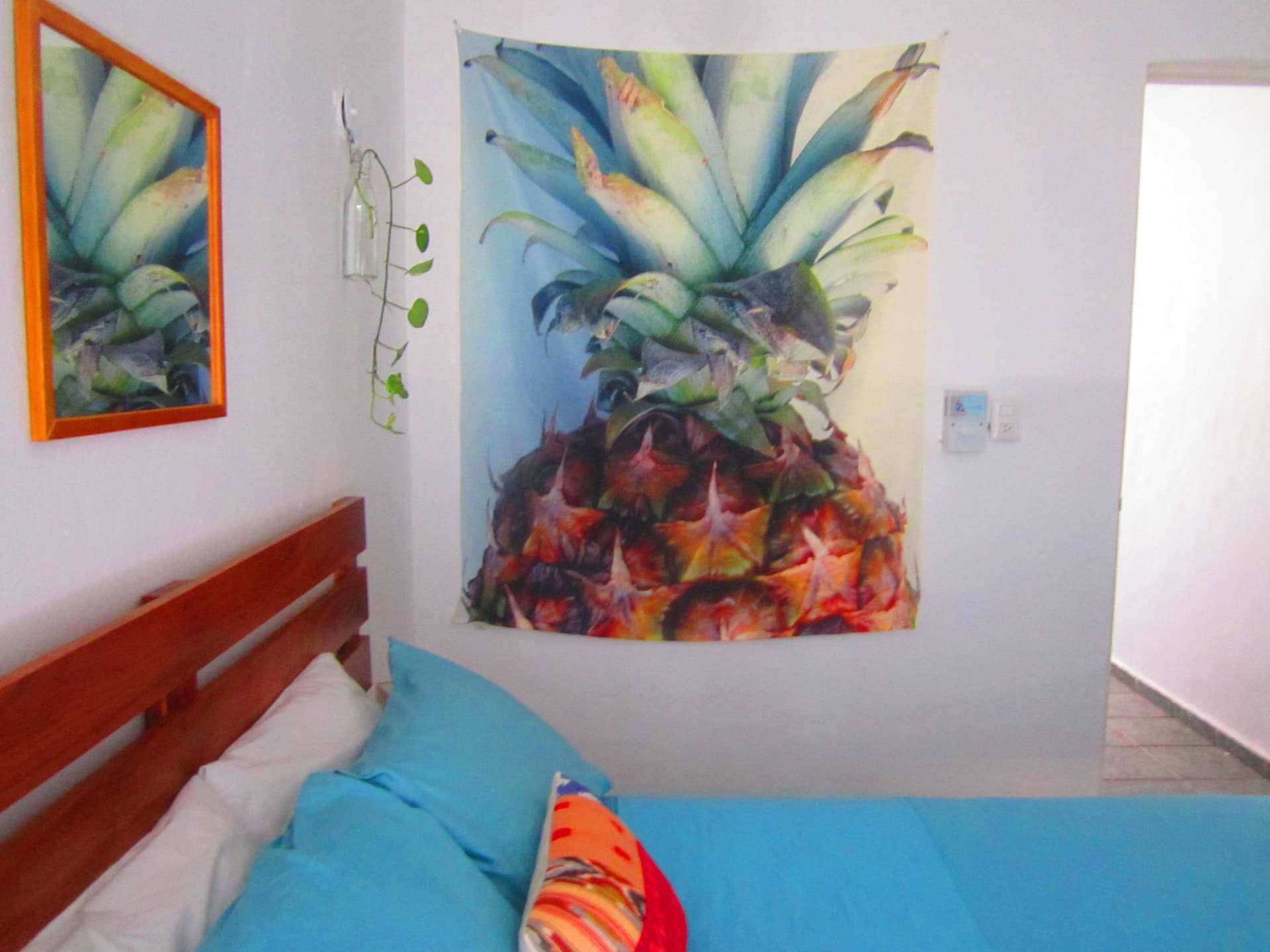 Casa Piña