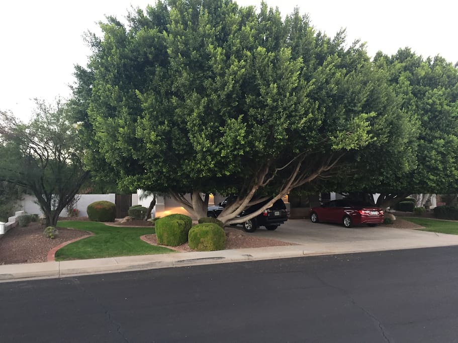 Parking in front driveway
