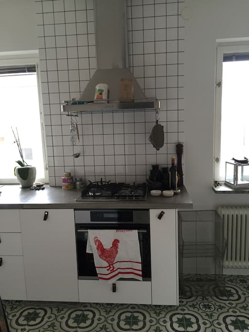Newly renovated kitchen with moroccan tile floor