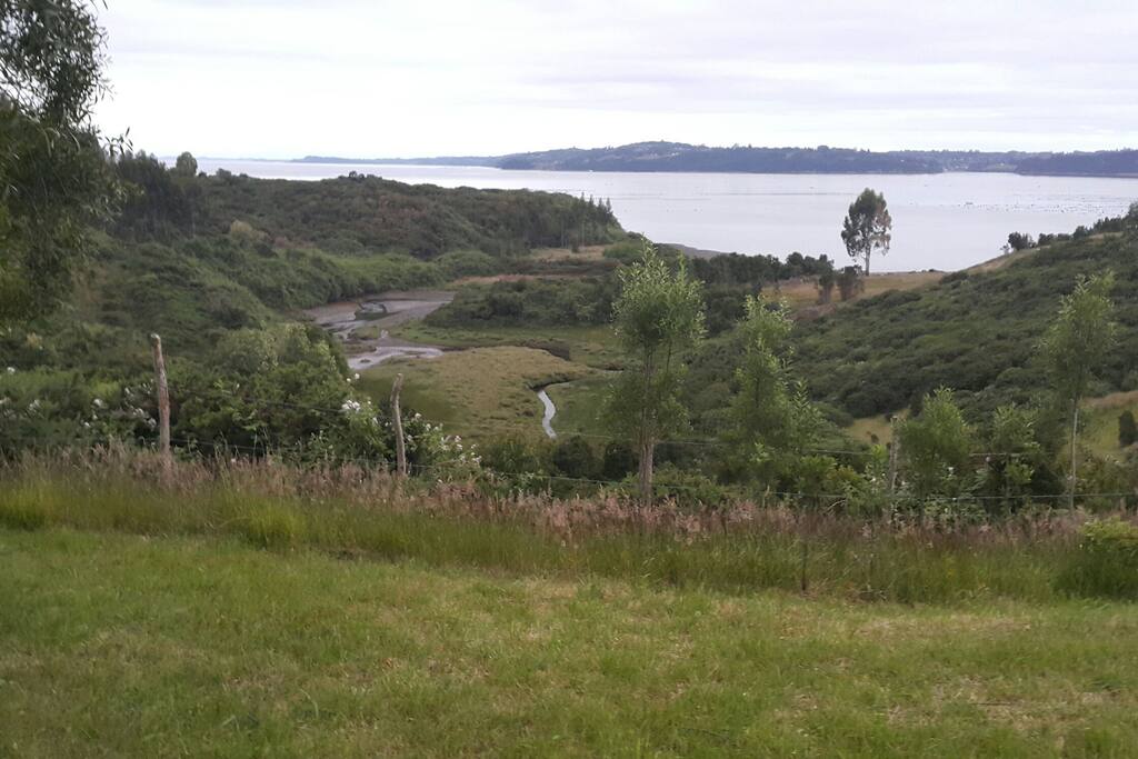Entrada de mar que se une a un estero de agua dulce que baja del bosque