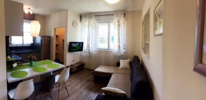 Apartment Lilian - Istria