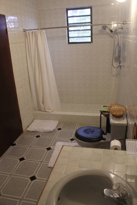 Bathroom looking towards the shower