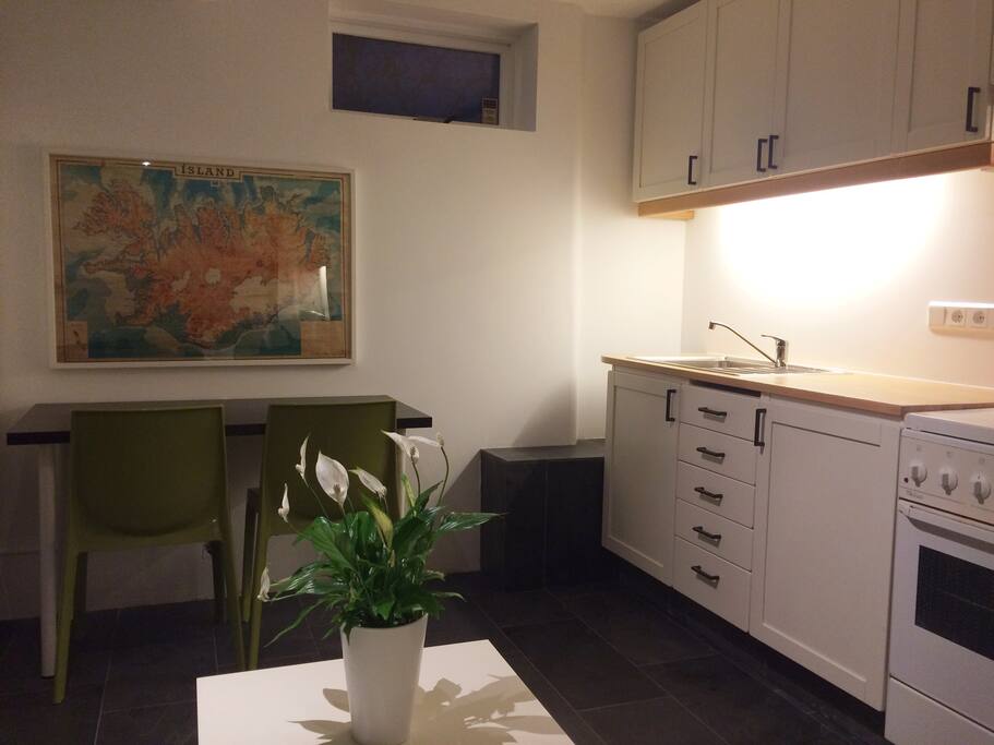 Kitchen, fridge, freezer, oven.