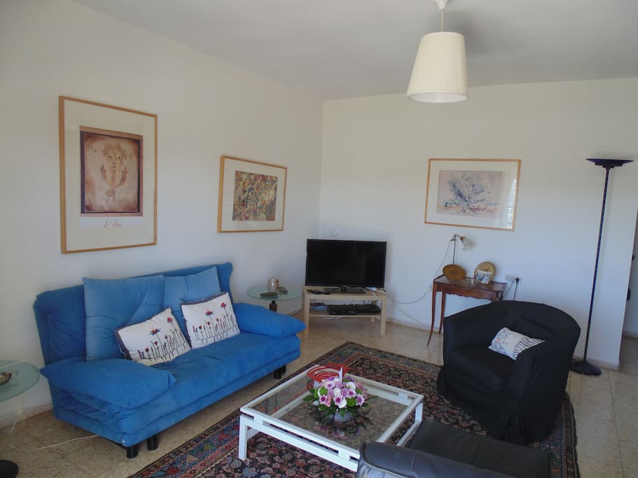 living room with television