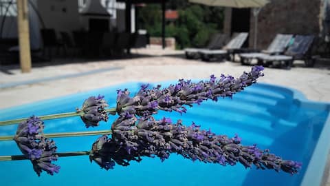 Popular Airbnb listing: LAVENDER HILL HVAR SPA **** villa in Splitsko Dalmatinska županija