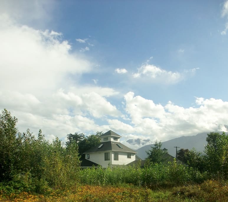 Sunny summer day