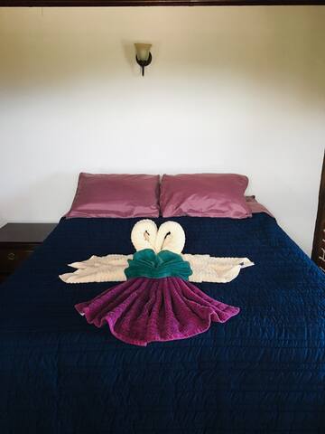 Cabo pulmo Tito's inn