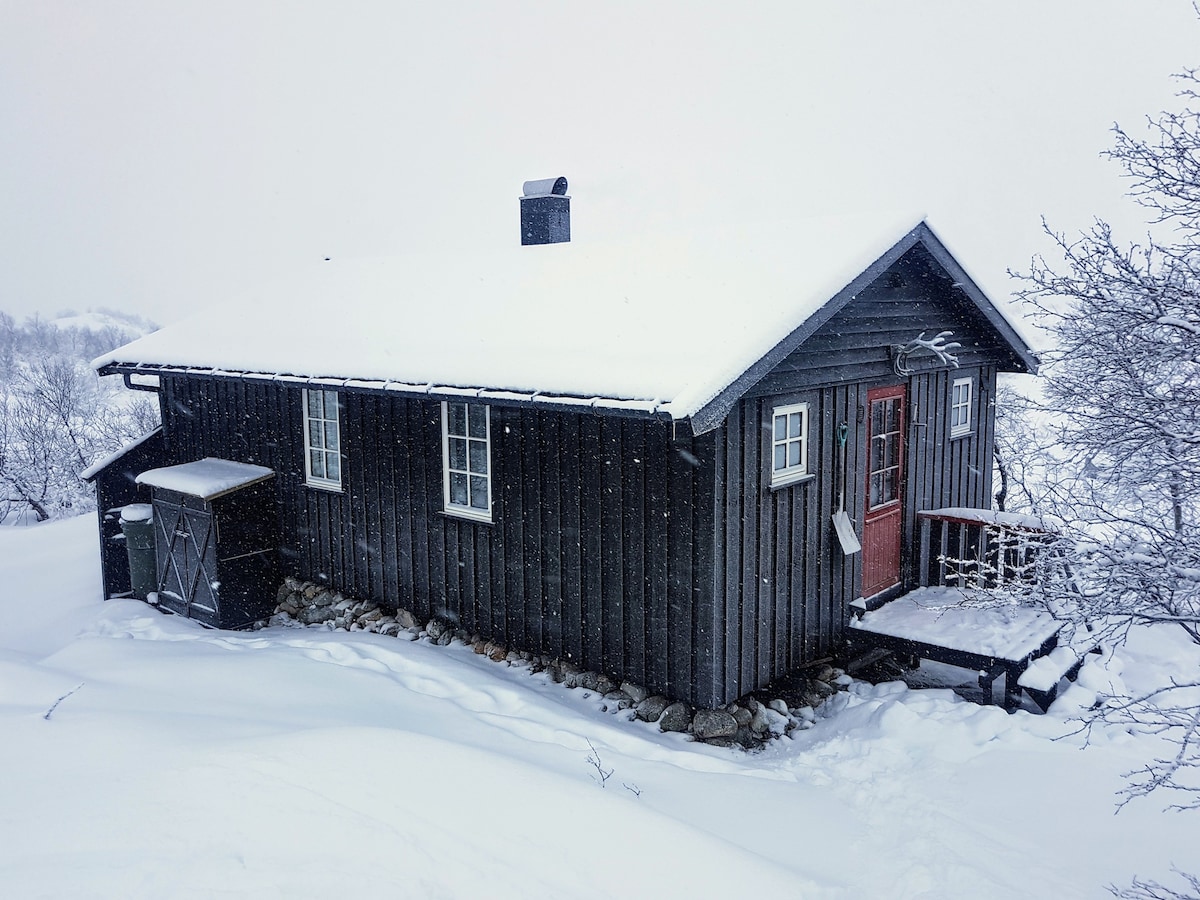 Suleskard Vacation Rentals & Homes - Agder, Norway | Airbnb