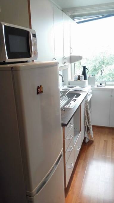 The kitchen. Big refrigerator with freezer, Microwave and Waterbolier, and four hot plates to cook on with owen to make lasagna or pizza