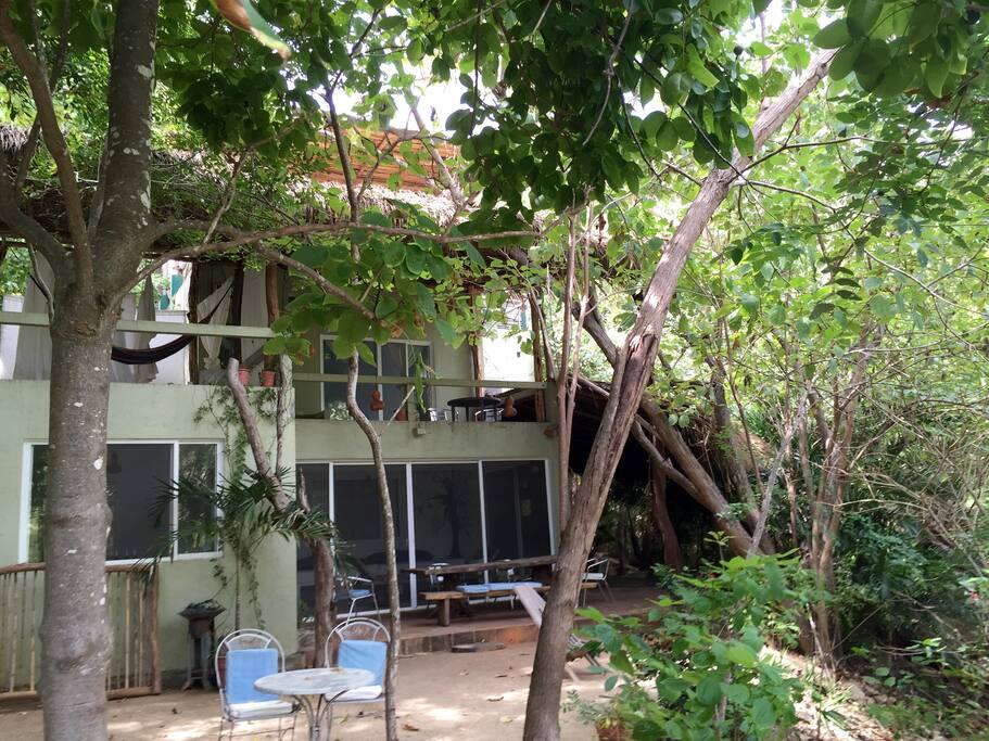 Hidden by the jungle