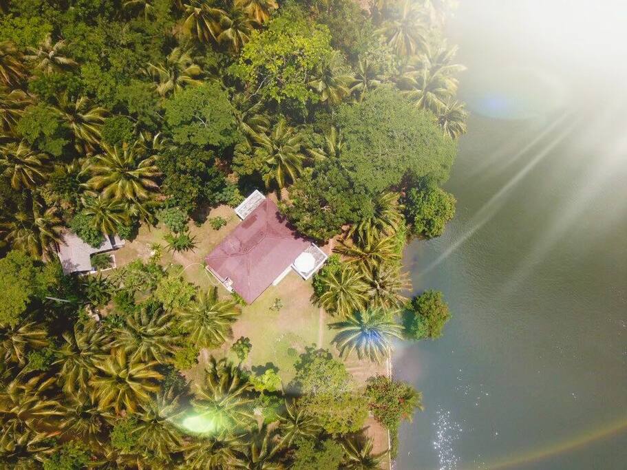 Top view
