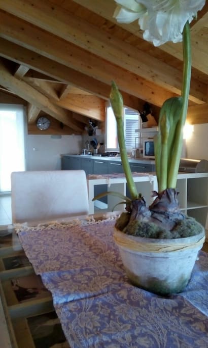 La mia cucina
