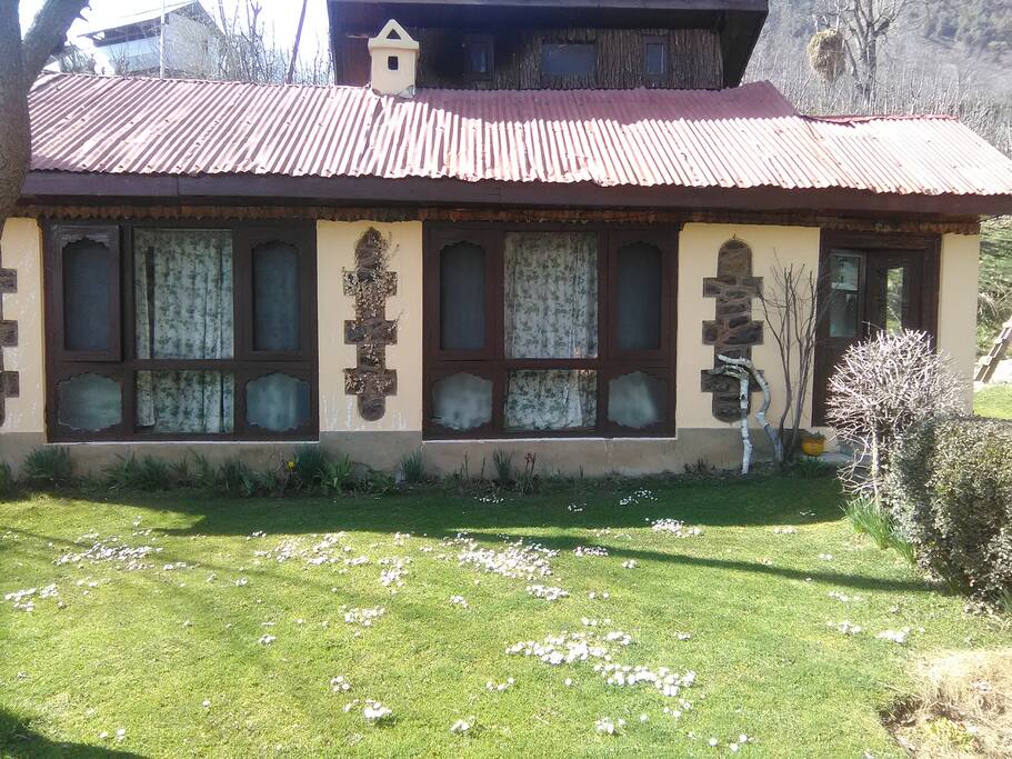 The frontyard