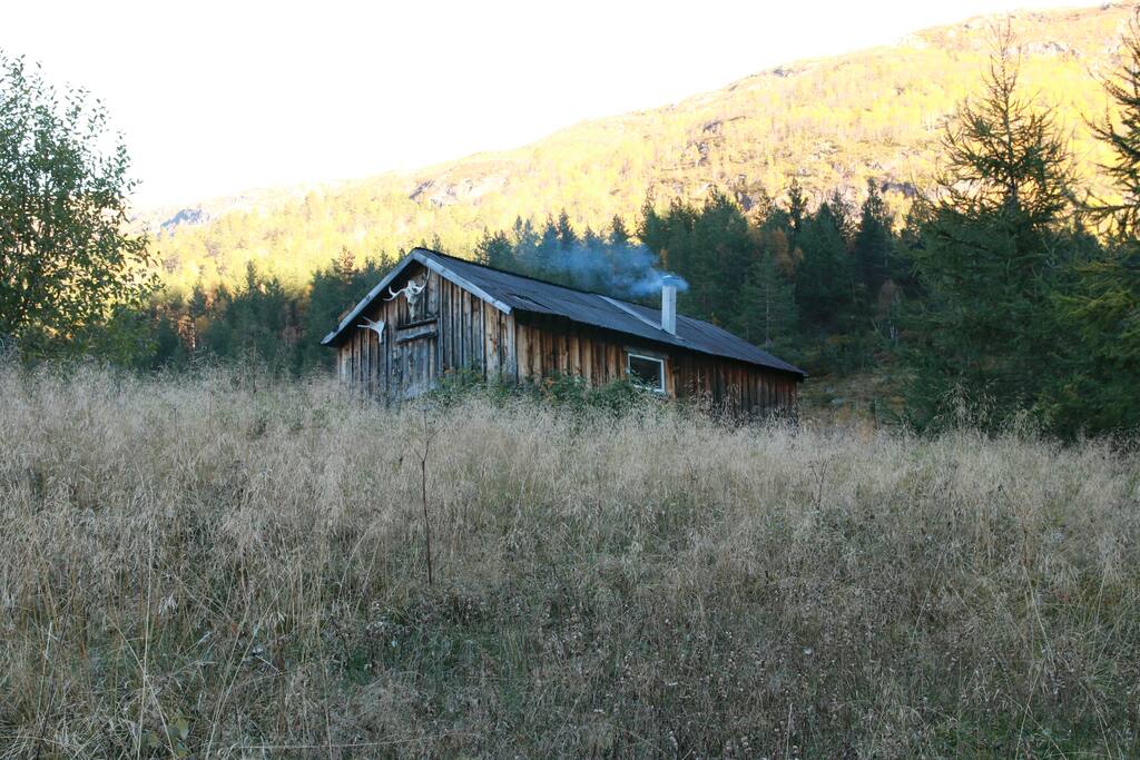 cabin 1