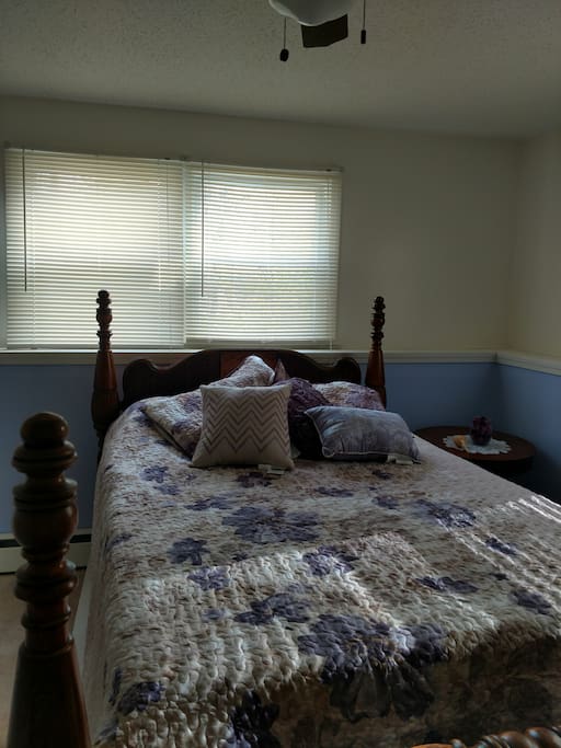 Master bedroom with walk-in closet