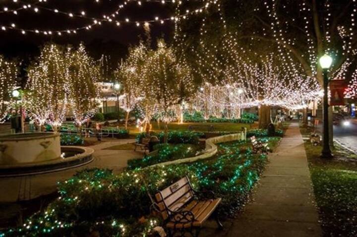 Mt Dora Christmas Walk 2022 Mount Dora Holiday Rentals & Homes - Florida, United States | Airbnb
