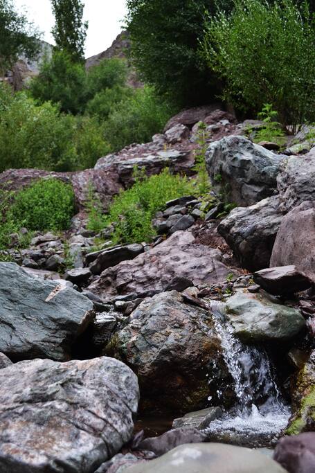water spring