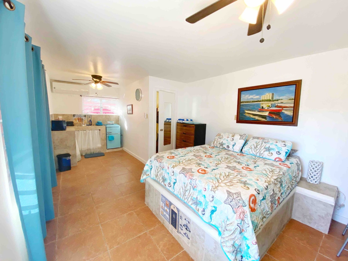A spacious studio is present, featuring a bed adorned with a marine-themed duvet. A furnished kitchenette is visible in the background, highlighted by light-colored walls and a large window. Decorative artwork hangs above the bed, complementing the coastal atmosphere.