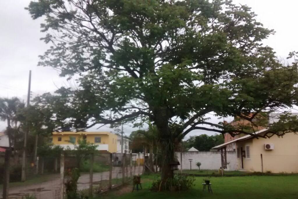 Pátio
