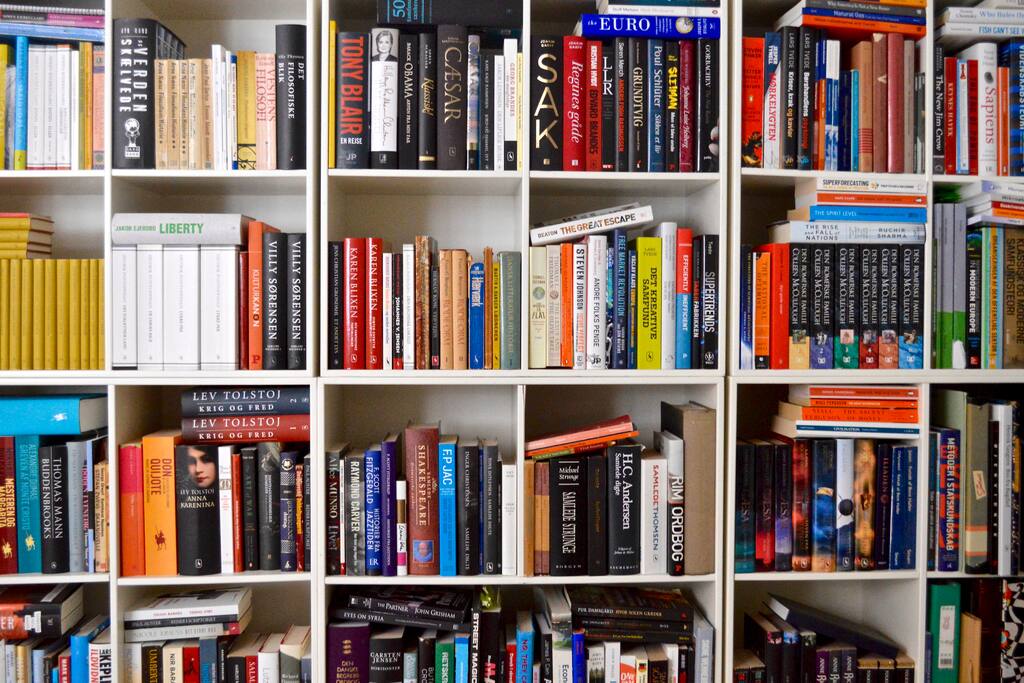 Bookshelf in living room