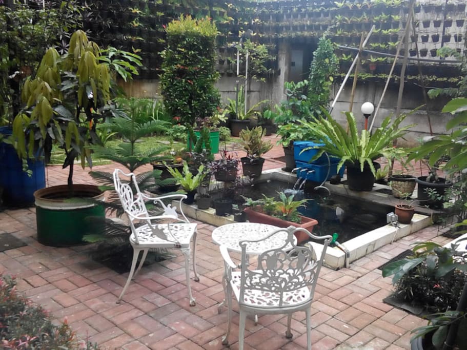 Bogor Homestay yard.