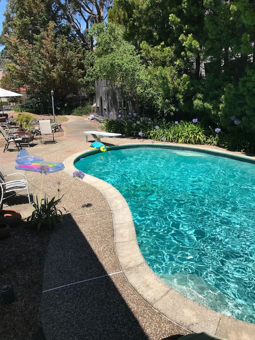 Solar Heated Pool