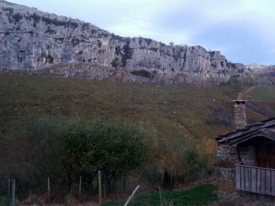 Cabaña