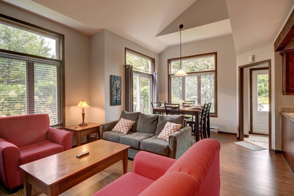 Living room with pull out couch