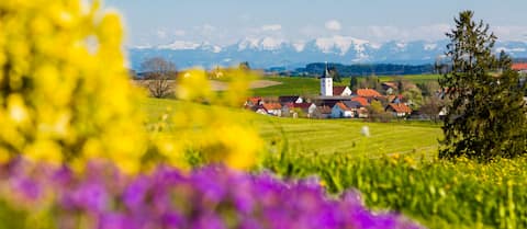 Apartment Hof Zürnen