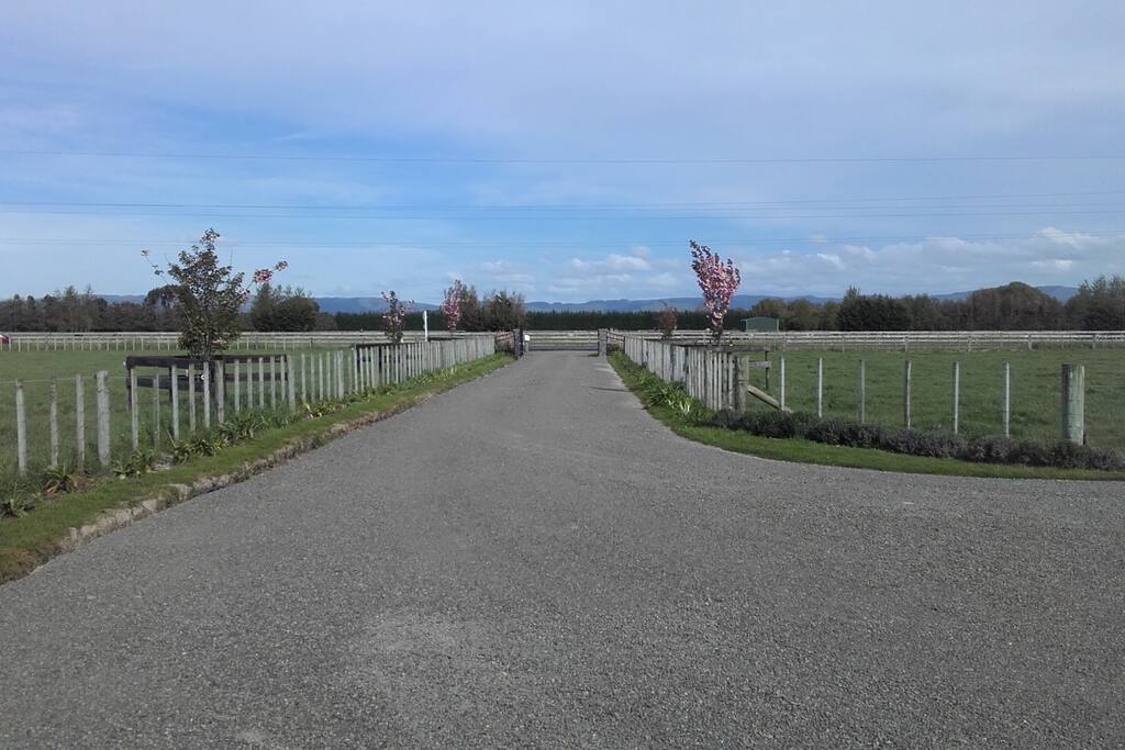 Tararua ranges and wind turbines in the distance