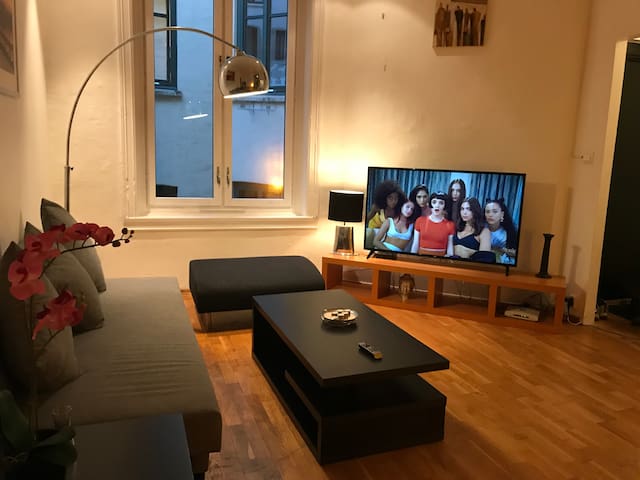 APT3ROOMS IN THE HEART OF OSLO! SKP21B 70mt