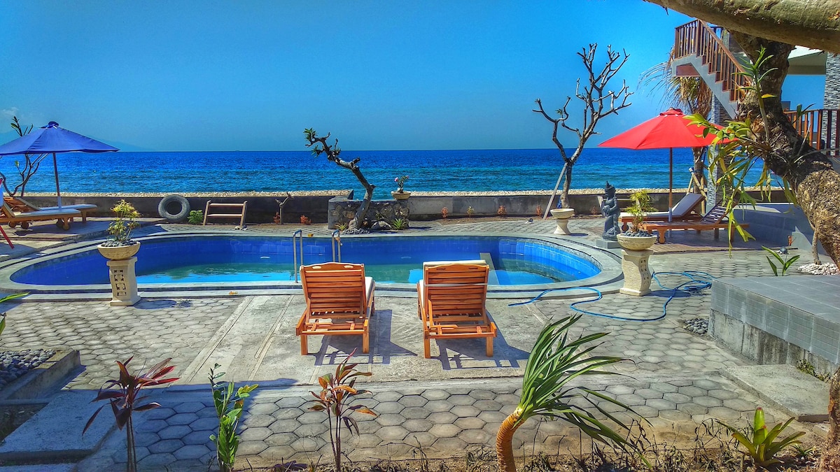 An outdoor pool is visible with wooden lounge chairs positioned near the water's edge. Umbrellas provide shade in the background, while a serene ocean view is framed by surrounding plants and trees. The clear blue sky enhances the tranquil setting.