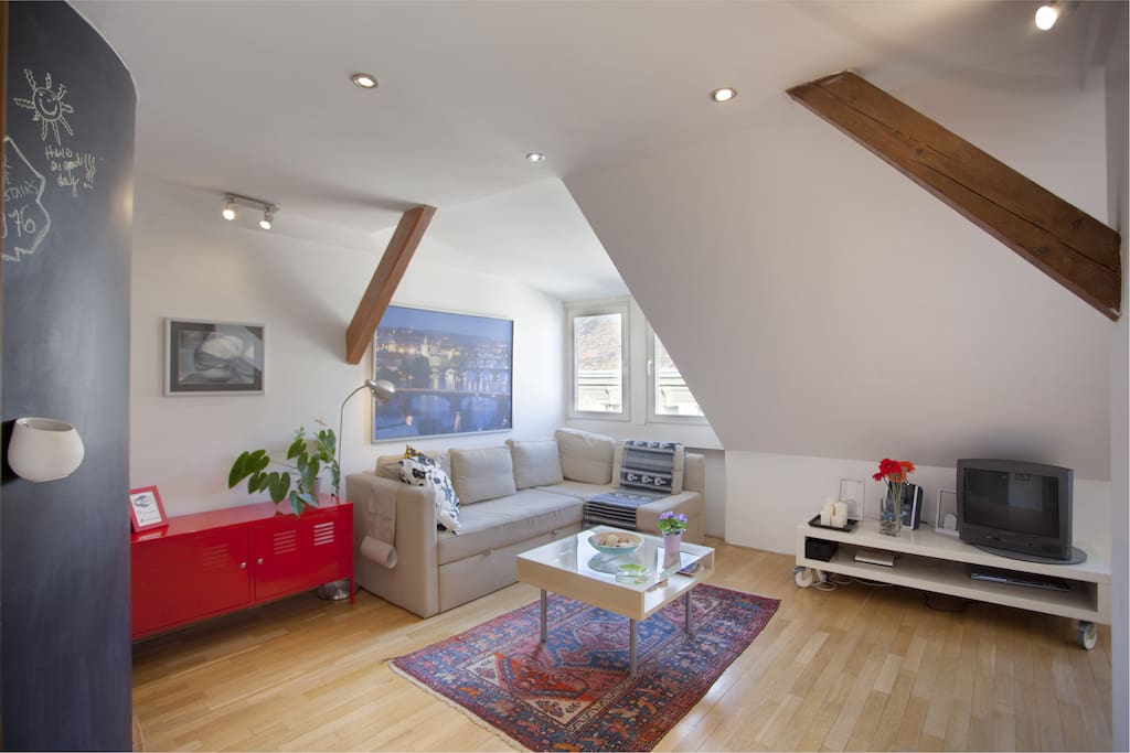 Stylish living room with double fold out sofa