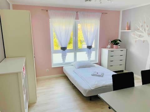4 private exhibition rooms & 2 bathrooms in a city villa
